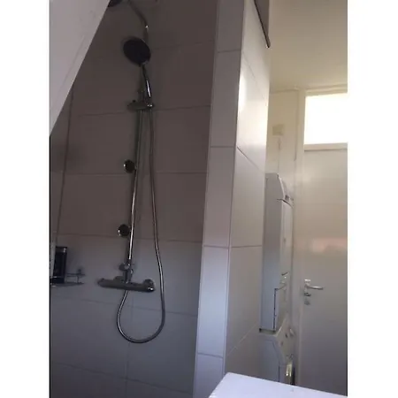 In * ألكمار